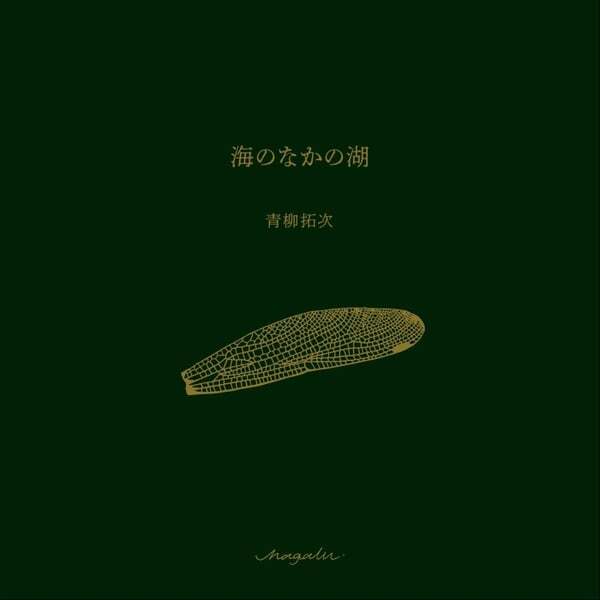 Cover art for 海のなかの湖